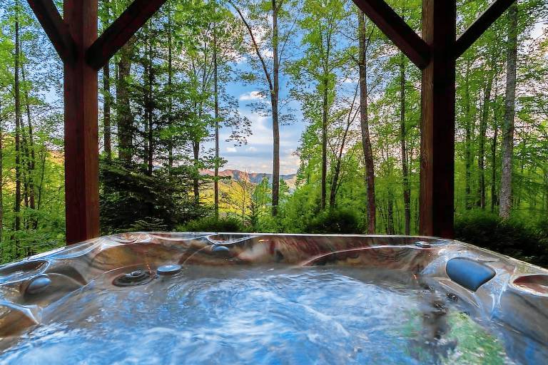 Cabin Bryson City