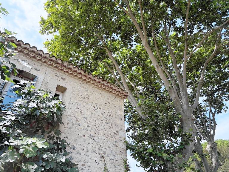 Maison de vacances Paulhan