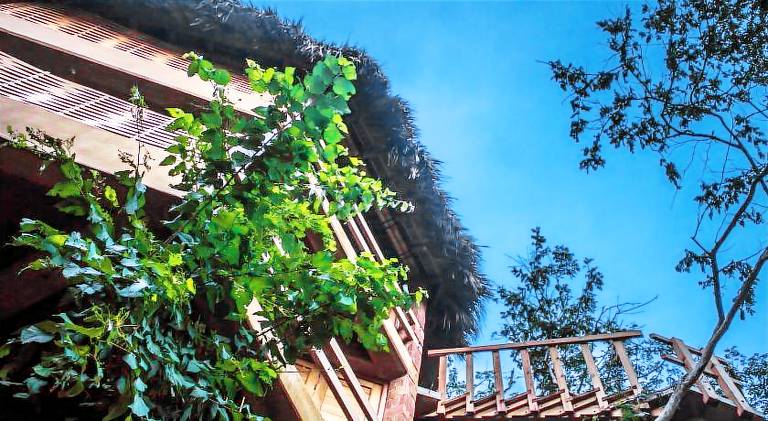 Posada Nuuna Mazunte — photo 3