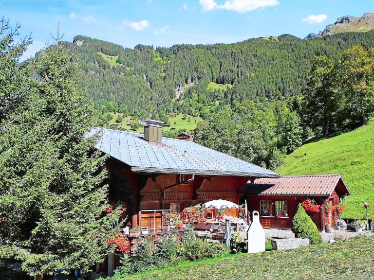 Appartement  Grindelwald