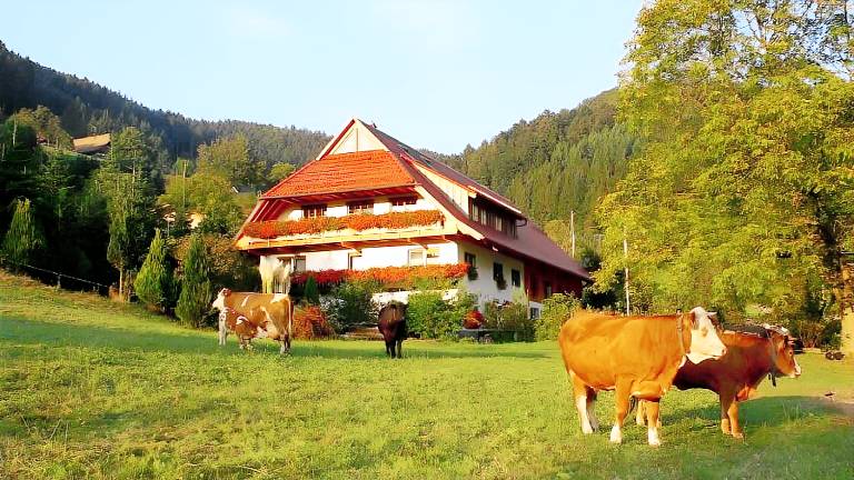 Ferienwohnung Zell am Harmersbach