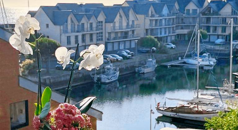 Holiday apartment | Close to the beach | Dogs allowed in Touques