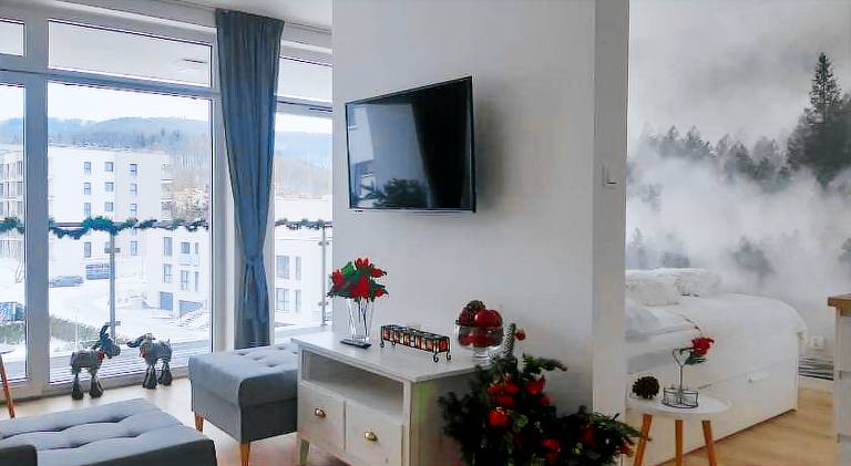 Apartment with 1 room for 4 persons — photo 2