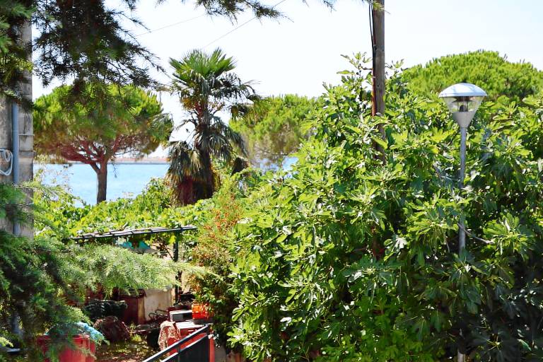 Ferienwohnung Umag
