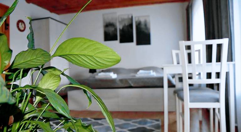 Bed & Breakfast Janowice Wielkie