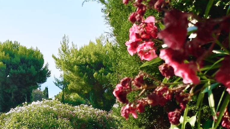Rental apartment with garden | Nature view — photo 5