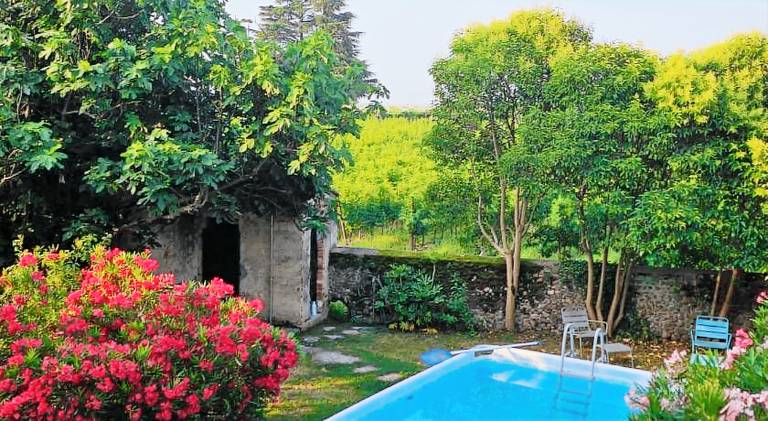 Ample vacation home with pool | Dogs allowed — photo 5