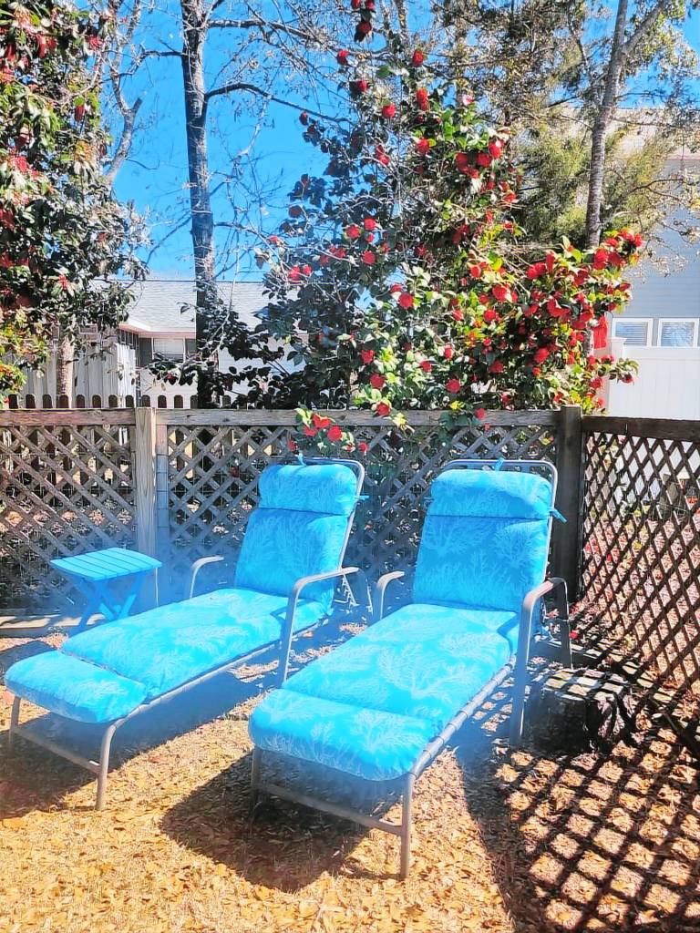Cottage Oak Island