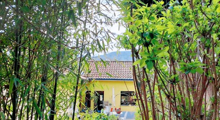 Vacation home with barbeque, terrace & garden | Suitable for remote work — photo 5