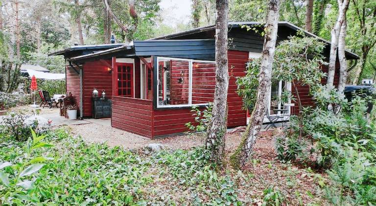 Chalet with pool | Dogs allowed in Nunspeet