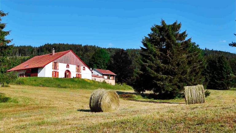 Longère Corcieux
