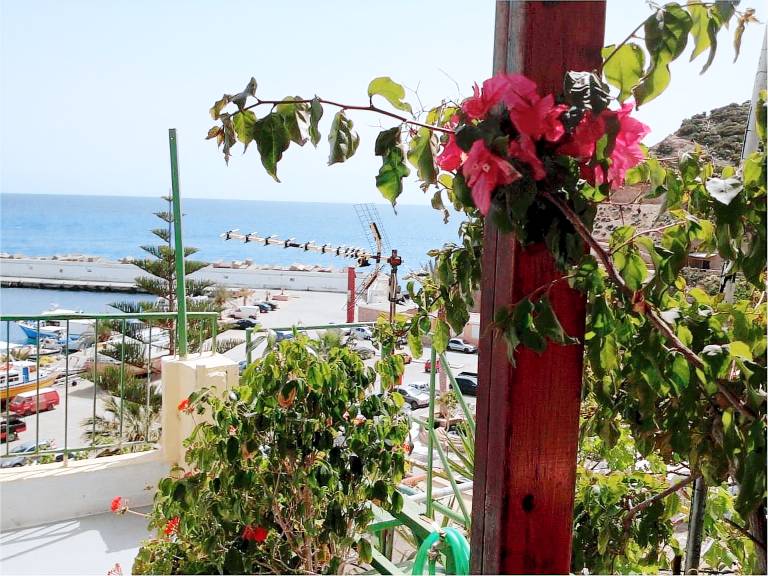 Pleasant bed and breakfast with terrace | Sea view | Beach nearby | Pet-friendly — photo 3