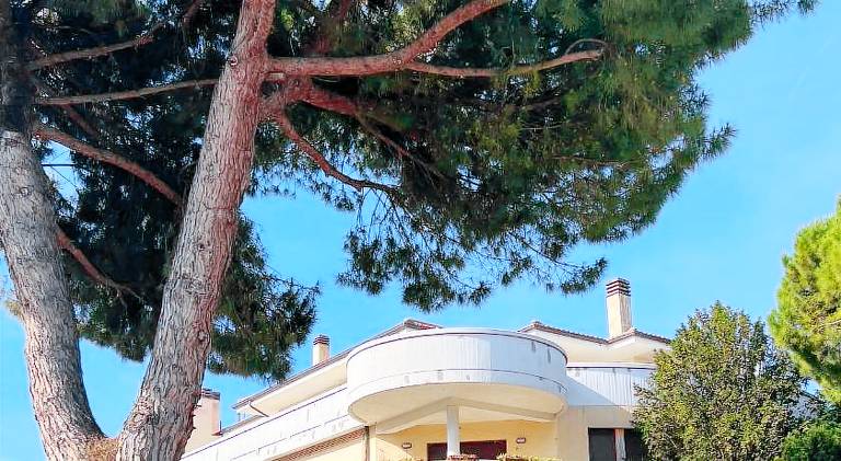Holiday apartment with 3 rooms for 7 persons in Porto San Giorgio