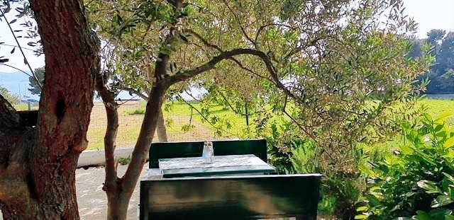 House with fast internet, BBQ & yard | Beach view — photo 3