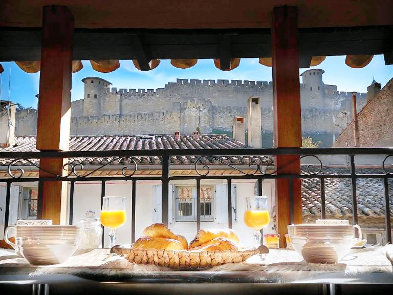 Wonderful holiday apartment with terrace | Pets allowed in Carcassonne