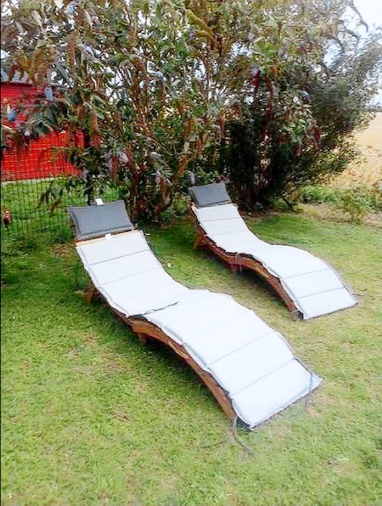 Ferienwohnung mit Wintergarten und eingezäuntem Garten in Dänschendorf — photo 5