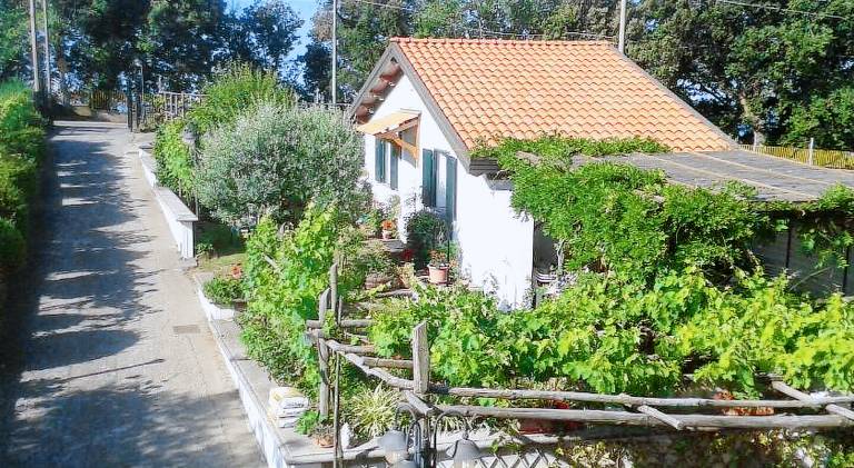 Vacation home with 1 room for 3 persons in Agerola
