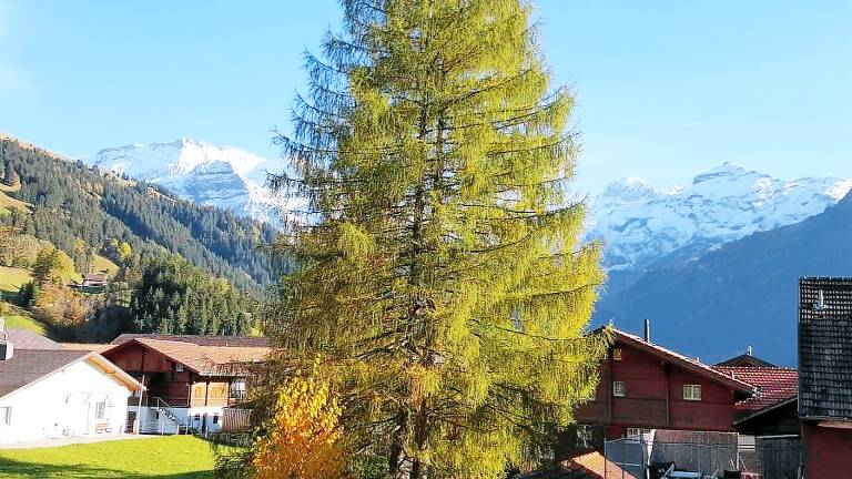 Appartement La Lenk