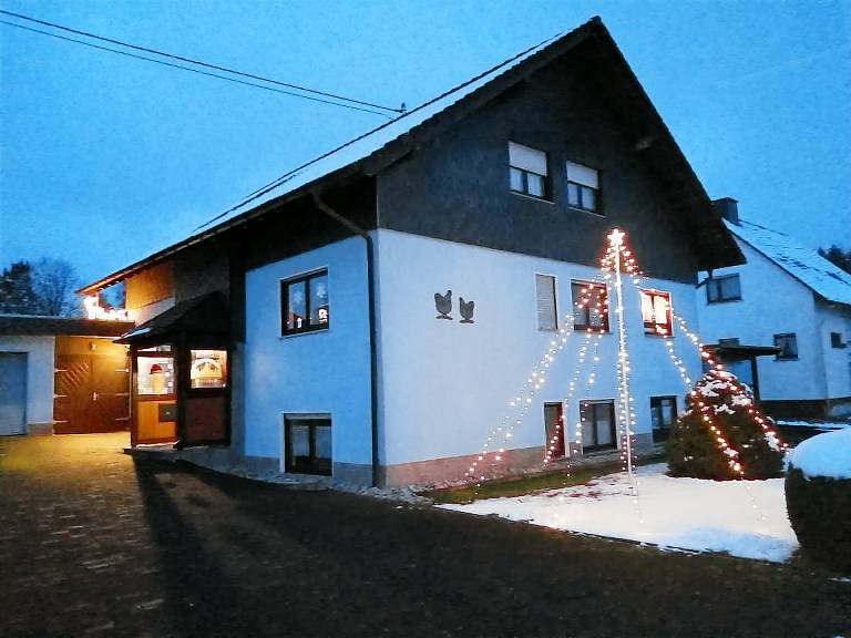 foto1
