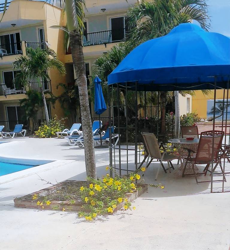 Rental apartment with terrace, garden & pool — photo 5