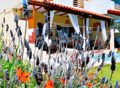 Apartment  Skiathos