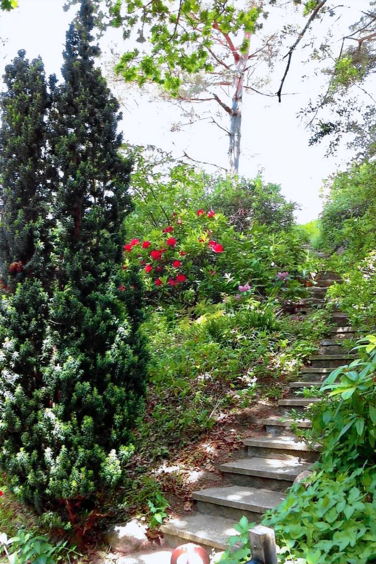 Ferienwohnung Zirkow