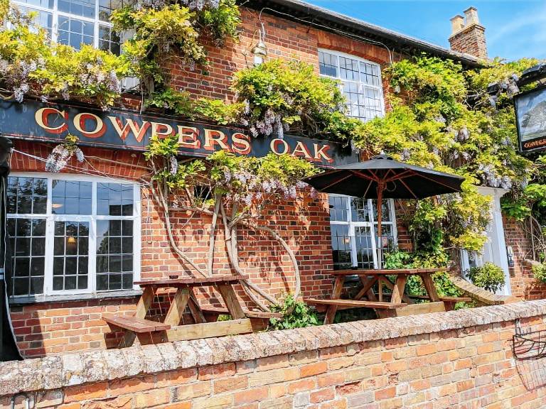 Cowpers Oak