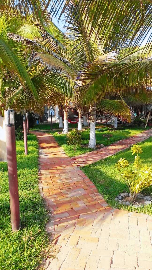 Punta Pacifico Bungalows Máncora — photo 2