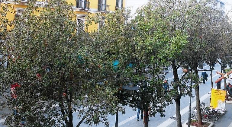 Domus Corso Umberto 18 B&B — photo 3