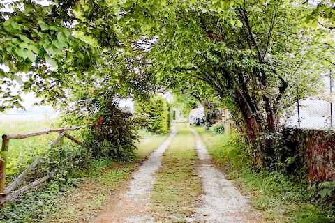 La casa nel verde — photo 5