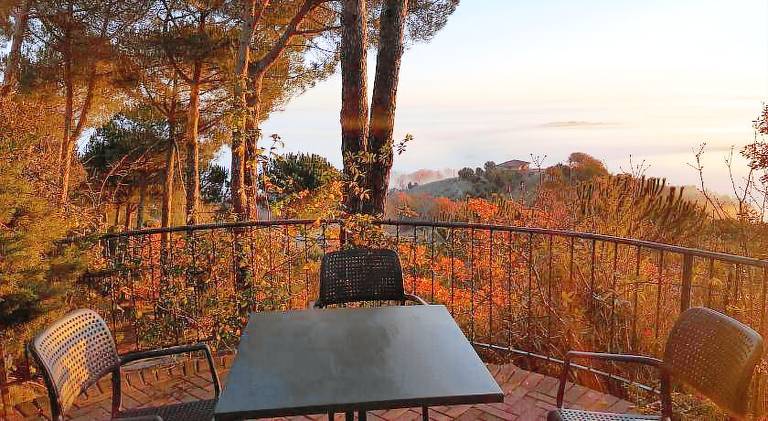 Hotel Panoramic — photo 4