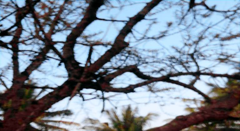 Hasiru Farms Homestay by StayApart — photo 5