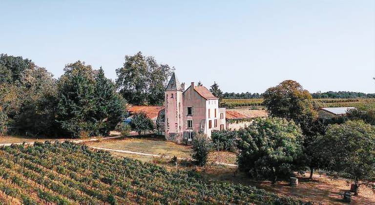 Ample house | Pets allowed in Chatellerault