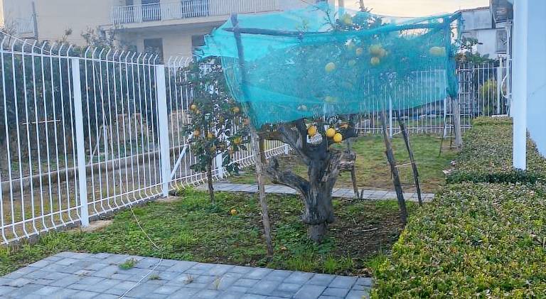 Holiday apartment with 2 rooms for 6 persons — photo 5
