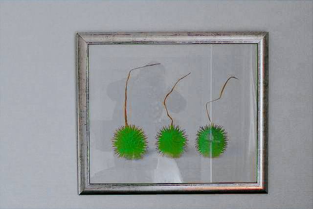 Apartment  Wellsee - Rönne