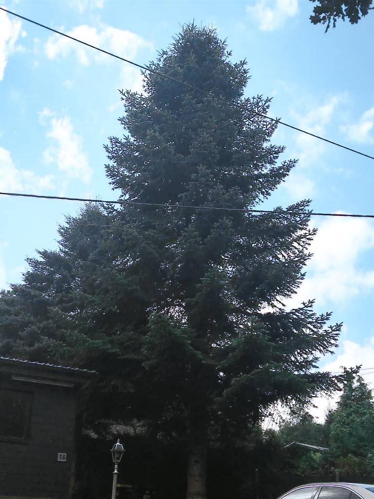 foto4