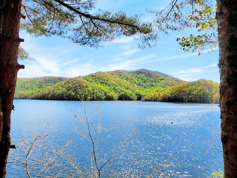 House Nantahala Lake