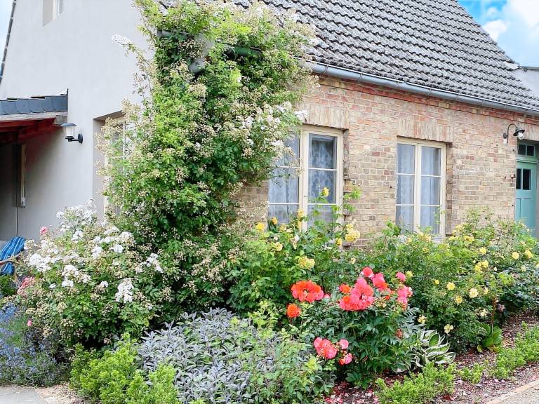 Pleasant cottage with pool | Pet-friendly in Waren (Müritz)