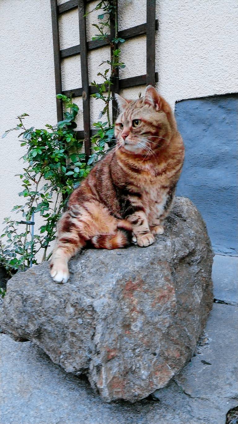 foto17
