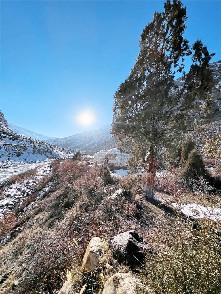 foto4