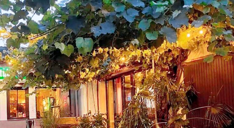 Winzergasthof zum Kellerstubchen — photo 4