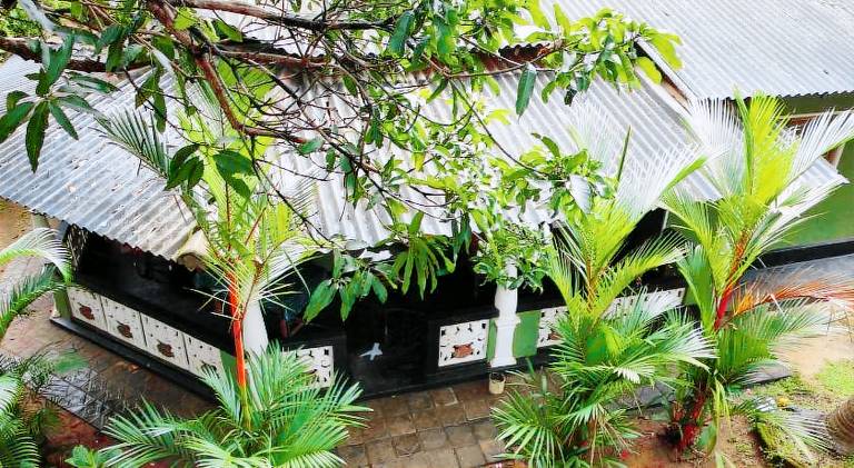 Green Bamboo House — photo 5