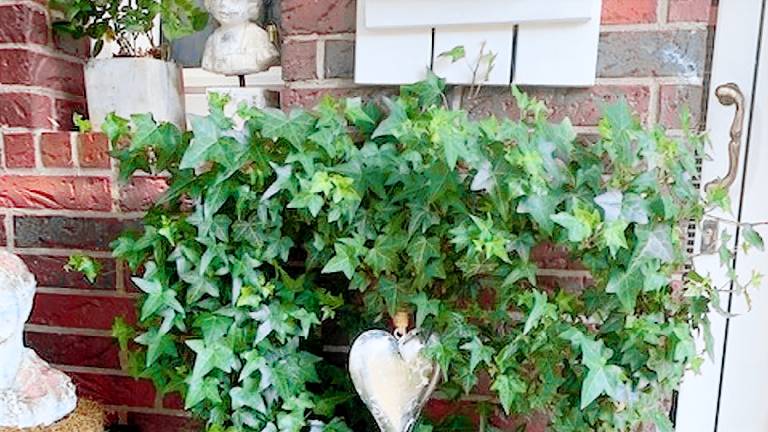 Ferienwohnung  Menden (Sauerland)