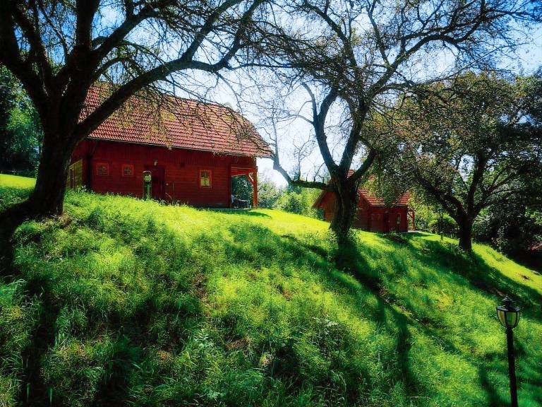 Bauernhof Mönichkirchen