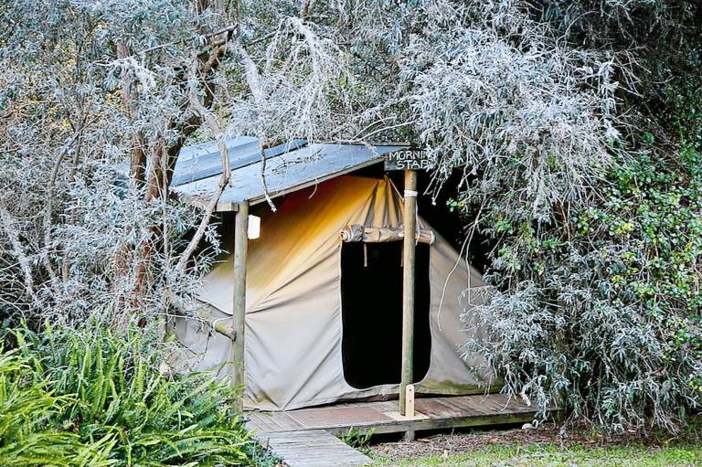 Camping Knysna
