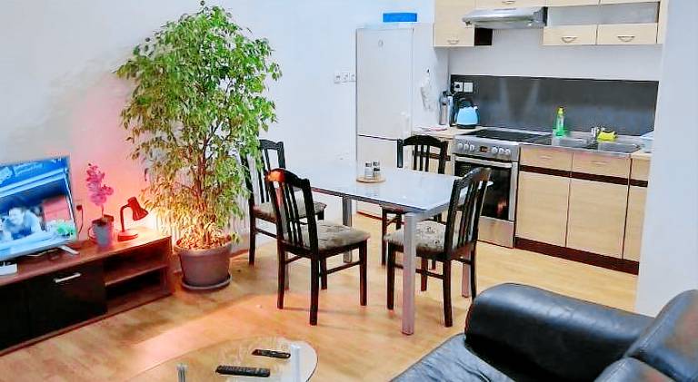 Holiday apartment with pool | Pets are welcome — photo 3