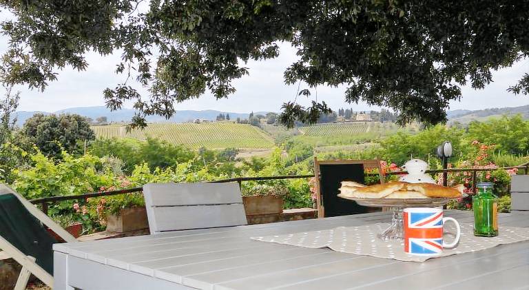 Farm with barbecue, terrace & garden — photo 4
