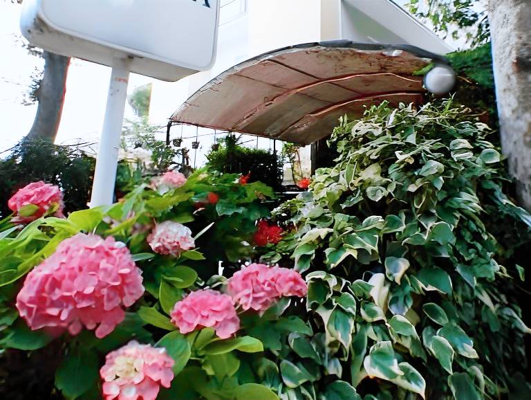 Hotel Acquamarina in Bellaria-Igea Marina