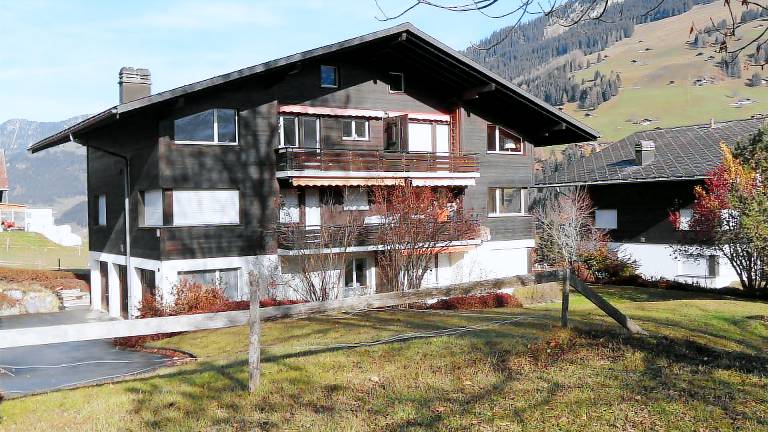 Ferienwohnung Lenk