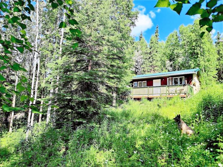 Cabin  Fairbanks